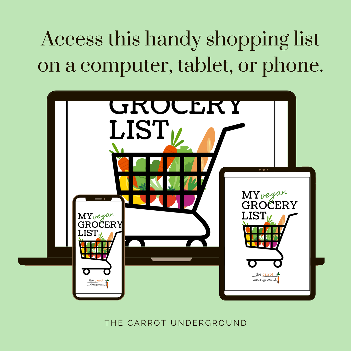 My Vegan Grocery List